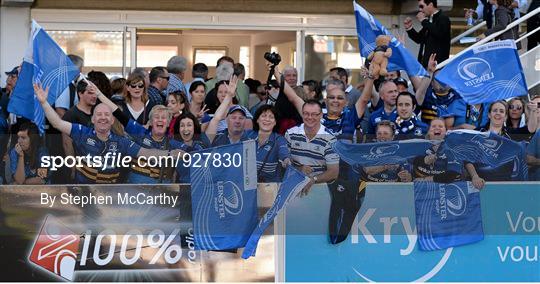 Castres v Leinster - European Rugby Champions Cup 2014/15 Pool 2 Round 2