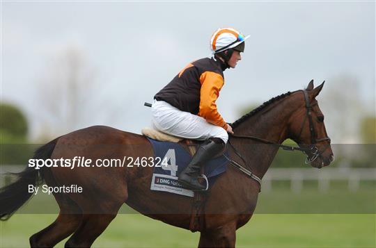 Punchestown National Hunt Festival - Tuesday