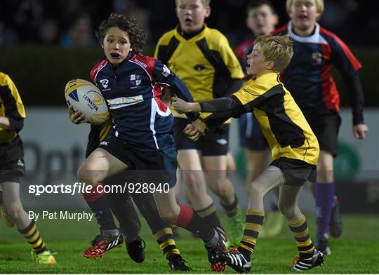 Bank of Ireland's Half-Time Minis at Leinster v Edinburgh - Guinness PRO12 Round 7