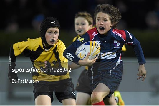 Bank of Ireland's Half-Time Minis at Leinster v Edinburgh - Guinness PRO12 Round 7