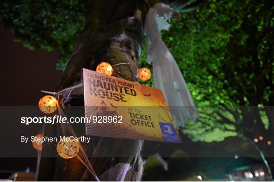 Halloween Festivities at Leinster v Edinburgh - Guinness PRO12 Round 7