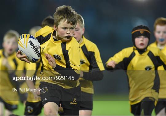 Bank of Ireland's Half-Time Minis at Leinster v Edinburgh - Guinness PRO12 Round 7