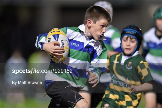 Bank of Ireland's Half-Time Minis at Leinster v Edinburgh - Guinness PRO12 Round 7