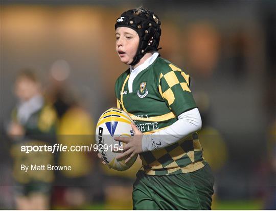 Bank of Ireland's Half-Time Minis at Leinster v Edinburgh - Guinness PRO12 Round 7