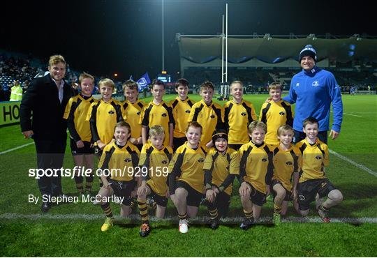 Bank of Ireland's Half-Time Minis at Leinster v Edinburgh - Guinness PRO12 Round 7