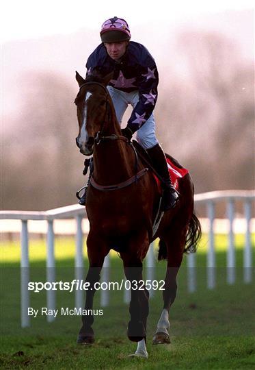 Horse Racing from Leopardstown