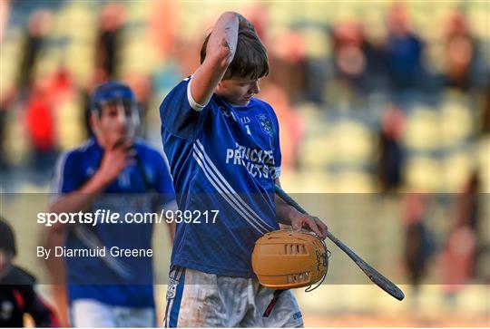 Kilmallock v Cratloe - AIB Munster GAA Hurling Senior Club Championship Final