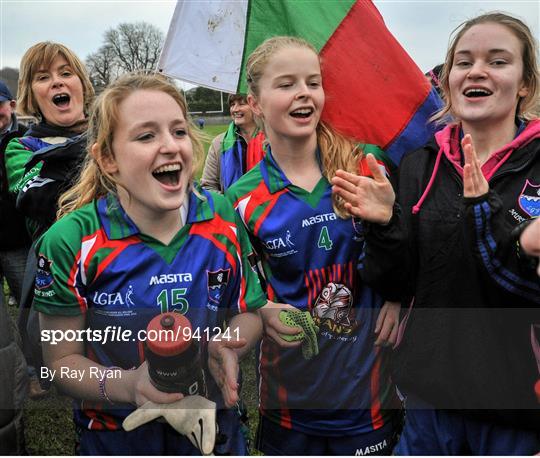 Murroe Boher v St. Ciaran's - TESCO Homegrown All Ireland Junior Club Championship Final