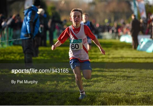 GloHealth Novice and Juvenile Uneven Age Cross Country Championships