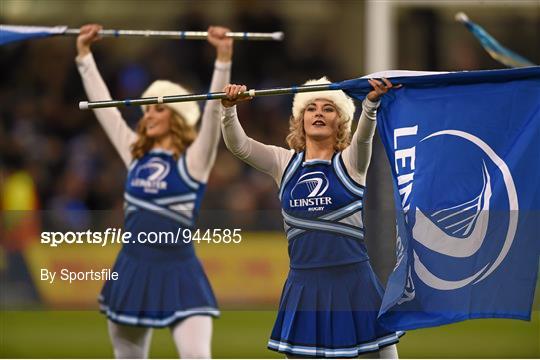 Entertainment at Leinster v Harlequins - European Rugby Champions Cup 2014/15 Pool 2 Round 4