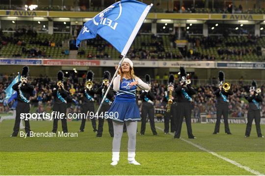 Entertainment at Leinster v Harlequins - European Rugby Champions Cup 2014/15 Pool 2 Round 4