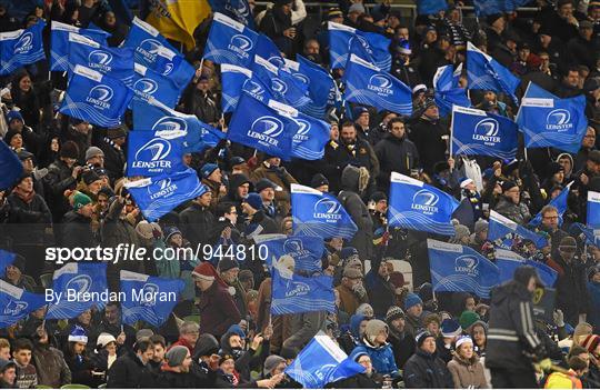 Leinster Fans at Leinster v Harlequins - European Rugby Champions Cup 2014/15 Pool 2 Round 4