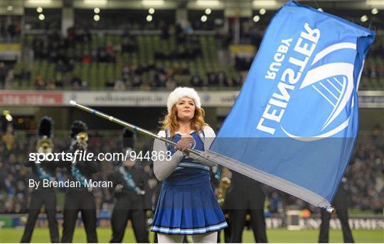 Entertainment at Leinster v Harlequins - European Rugby Champions Cup 2014/15 Pool 2 Round 4