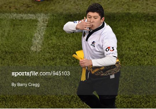 Action from Bank of Ireland's Half-Time Minis at Leinster v Harlequins - European Rugby Champions Cup 2014/15