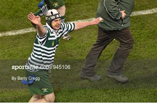 Action from Bank of Ireland's Half-Time Minis at Leinster v Harlequins - European Rugby Champions Cup 2014/15