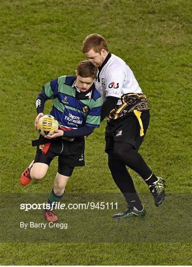 Action from Bank of Ireland's Half-Time Minis at Leinster v Harlequins - European Rugby Champions Cup 2014/15