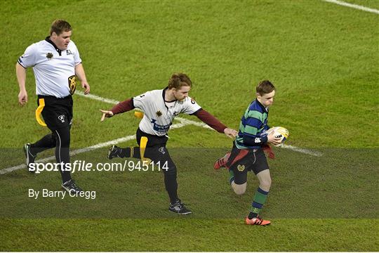 Action from Bank of Ireland's Half-Time Minis at Leinster v Harlequins - European Rugby Champions Cup 2014/15