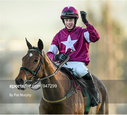 Leopardstown Christmas Festival - Sunday 28th December