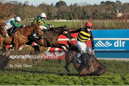 Leopardstown Christmas Festival -  Monday 29th December