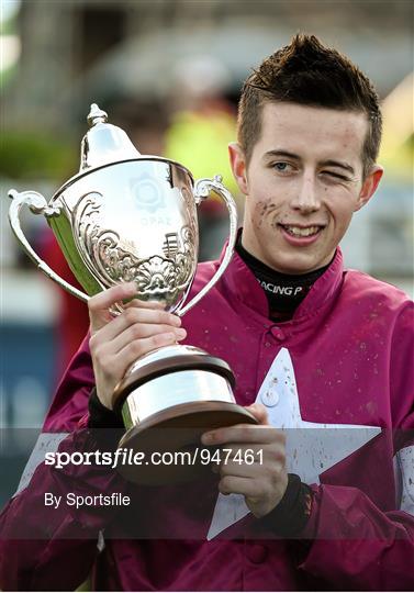 Leopardstown Christmas Festival -  Monday 29th December