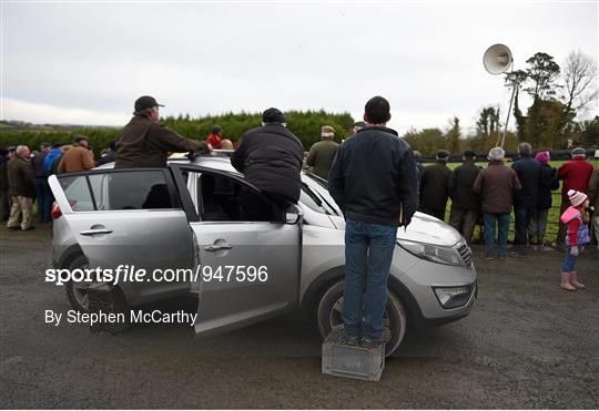 Abbeyfeale Coursing Meeting