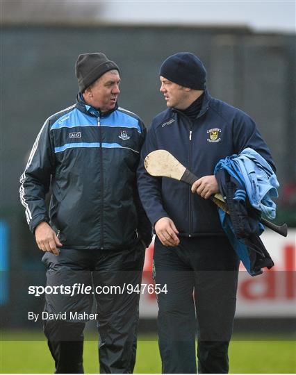 Dublin v Dubs Stars - Herald / Dublin Bus Hurling Challenge 2015