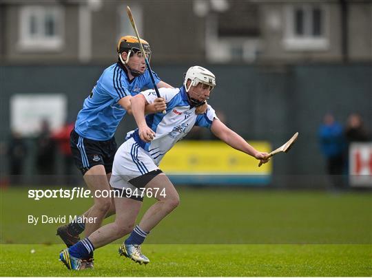 Dublin v Dubs Stars - Herald / Dublin Bus Hurling Challenge 2015