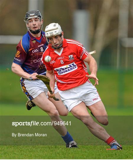 Cork v University of Limerick - Waterford Crystal Cup Preliminary Round