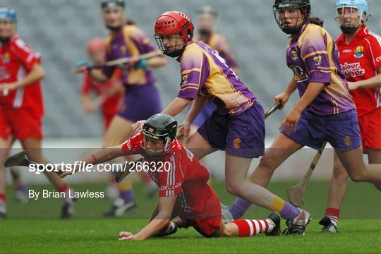 Cork v Wexford - Gala All-Ireland Senior Camogie Final