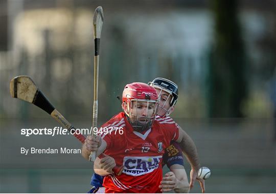 Cork v University of Limerick - Waterford Crystal Cup Preliminary Round