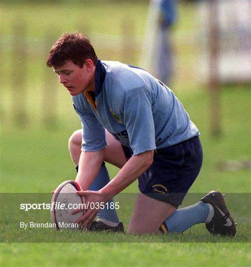 UCD RFC v Bohemians RFC - AIB All-Ireland League Division 3