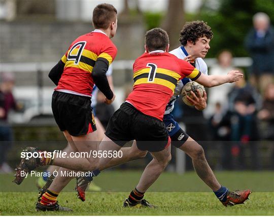 CBC Monkstown v St. Andrew's College - Bank of Ireland Leinster Schools Fr. Godfrey Cup Semi-Final