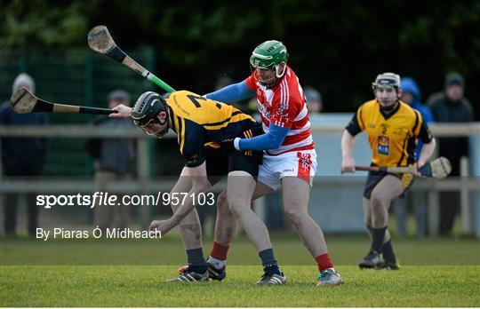 DCU v Cork IT - Independent.ie Fitzgibbon Cup Group A Round 1