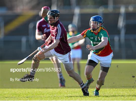 Carlow v Galway - Bord na Mona Walsh Cup Semi-Final