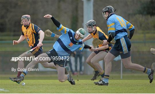 UCD v DCU - Independent.ie Fitzgibbon Cup Group A Round 2