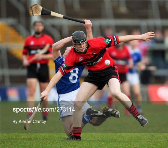 Croom v Adare - Limerick SHC Final