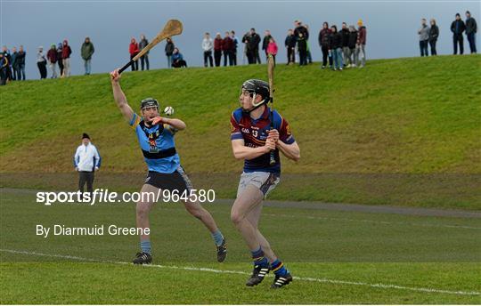 UL v UCD - Independent.ie Fitzgibbon Cup Quarter-Final