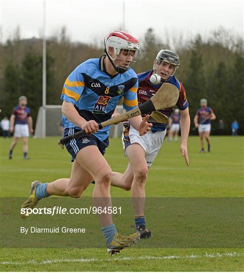 UL v UCD - Independent.ie Fitzgibbon Cup Quarter-Final