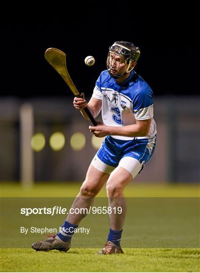 Waterford v Laois - Allianz Hurling League Division 1B Round 2