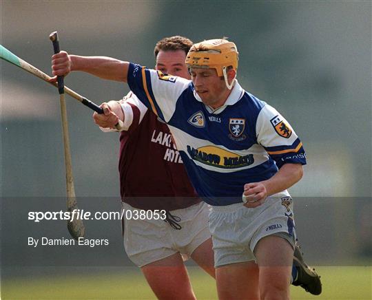 Westmeath v Laois - Guinness Leinster Senior Hurling Championship Round Robin