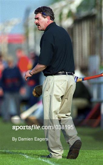 Carlow v Dublin - Guinness Leinster Senior Hurling Championship Round Robin