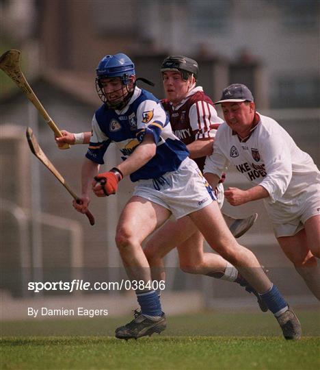 Laois v Westmeath - Guinness Leinster Senior Hurling Championship Round Robin