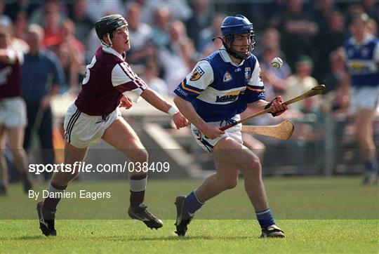 Laois v Westmeath - Guinness Leinster Senior Hurling Championship Round Robin