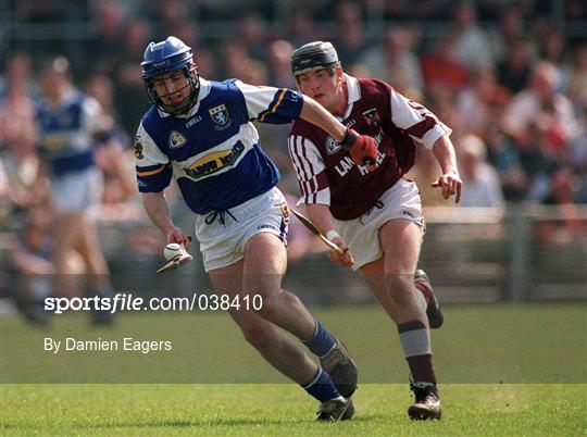 Laois v Westmeath - Guinness Leinster Senior Hurling Championship Round Robin