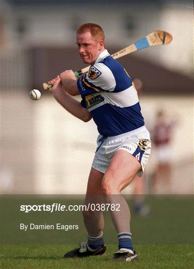 Westmeath v Laois - Guinness Leinster Senior Hurling Championship Round Robin