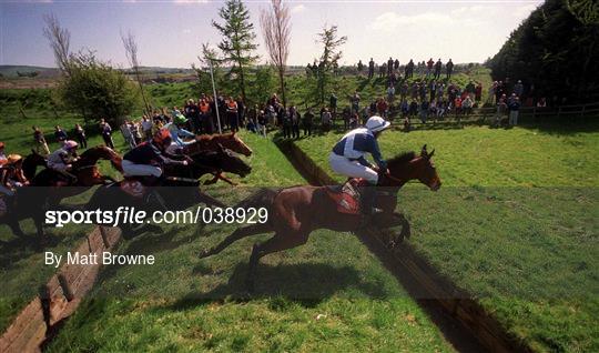 Horse Racing from Punchestown