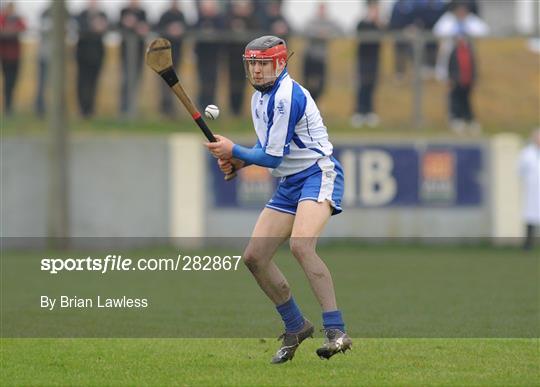 Waterford v Wexford - Allianz NHL Division 1A - Round 1