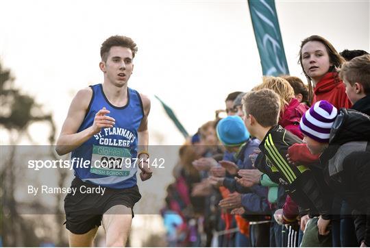 GloHealth All Ireland Schools Cross Country Championships