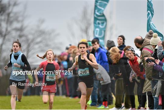 GloHealth All Ireland Schools Cross Country Championships