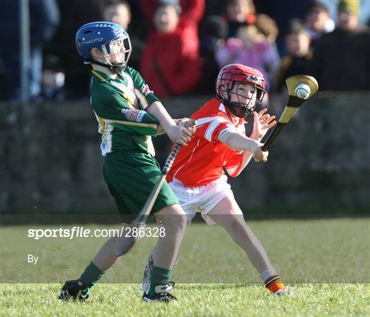 Armagh v Derry - Allianz NHL Division 2B - Round 3